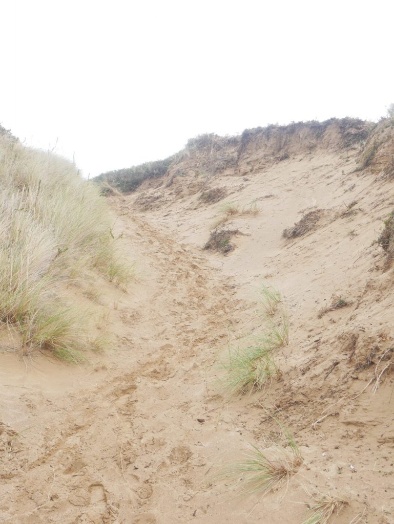 Final Dune befor seeing the sea again !